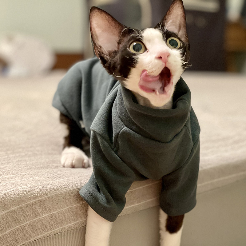 Winter Clothing For Toddlers - Sphynx Cat เสื้อผ้าเด็กผ้าฝ้ายนุ่มฤดูใบไม้ร่วงฤดูหนาวแมวสุนัขขนาดเล็กเสื้อผ้าสําหรับ Cornish Devon Cat