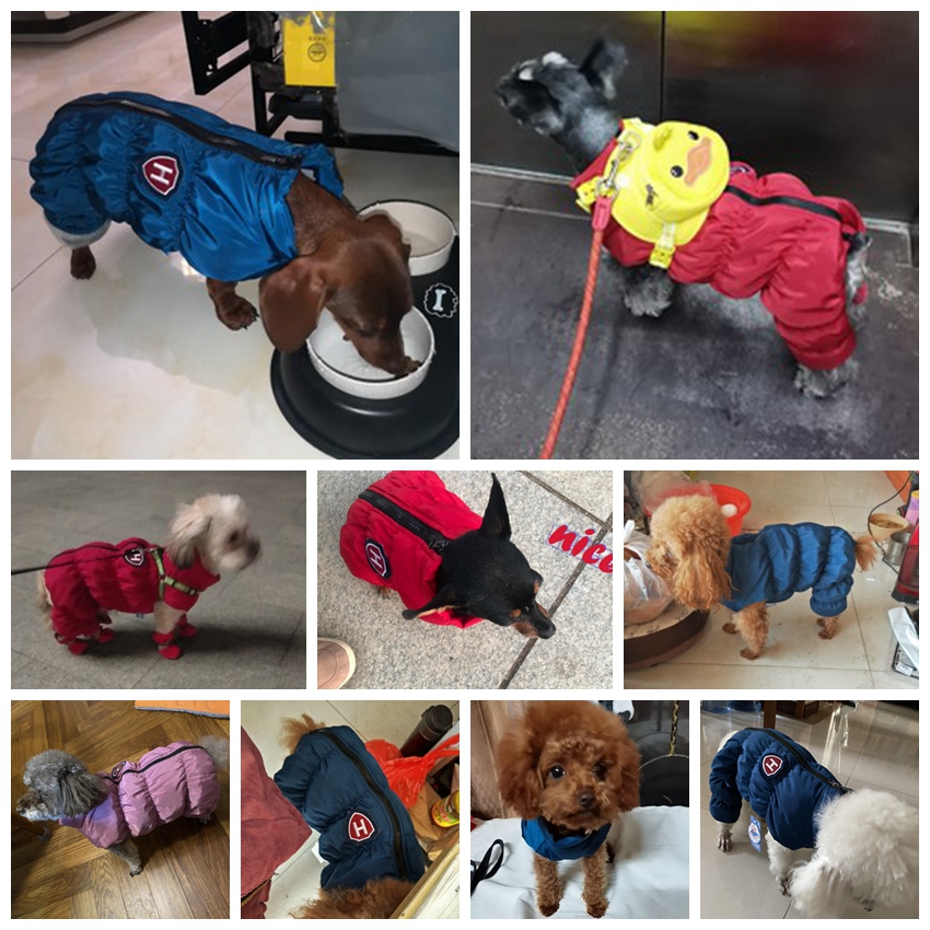 ซิปหิมะ Unisex สุนัขกันน้ํา Ov - Winter Clothing Baby บทวิจารณ์และราคา